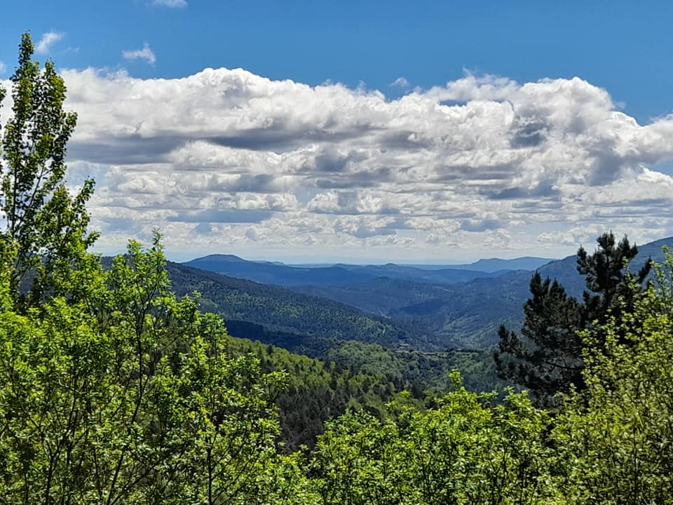 Les Cévennes : vertes et escarpées