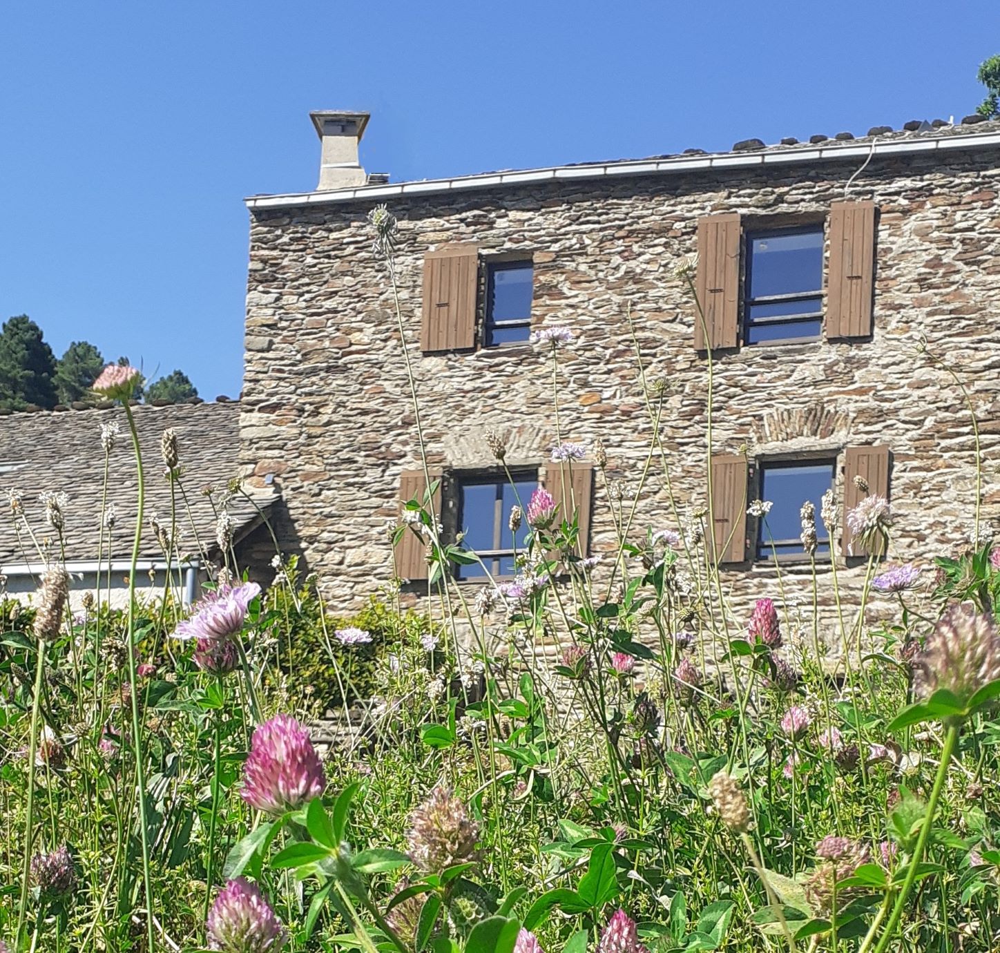 Le mas de l'accueil au village vacances 