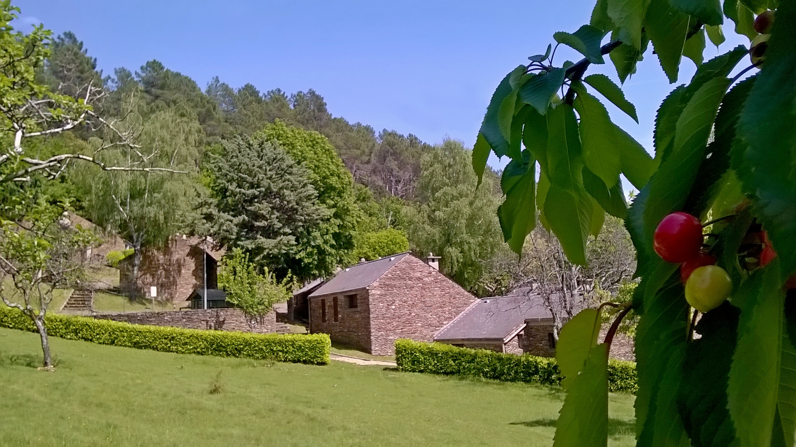 le printemps en Cévennes - pré du village de vacances