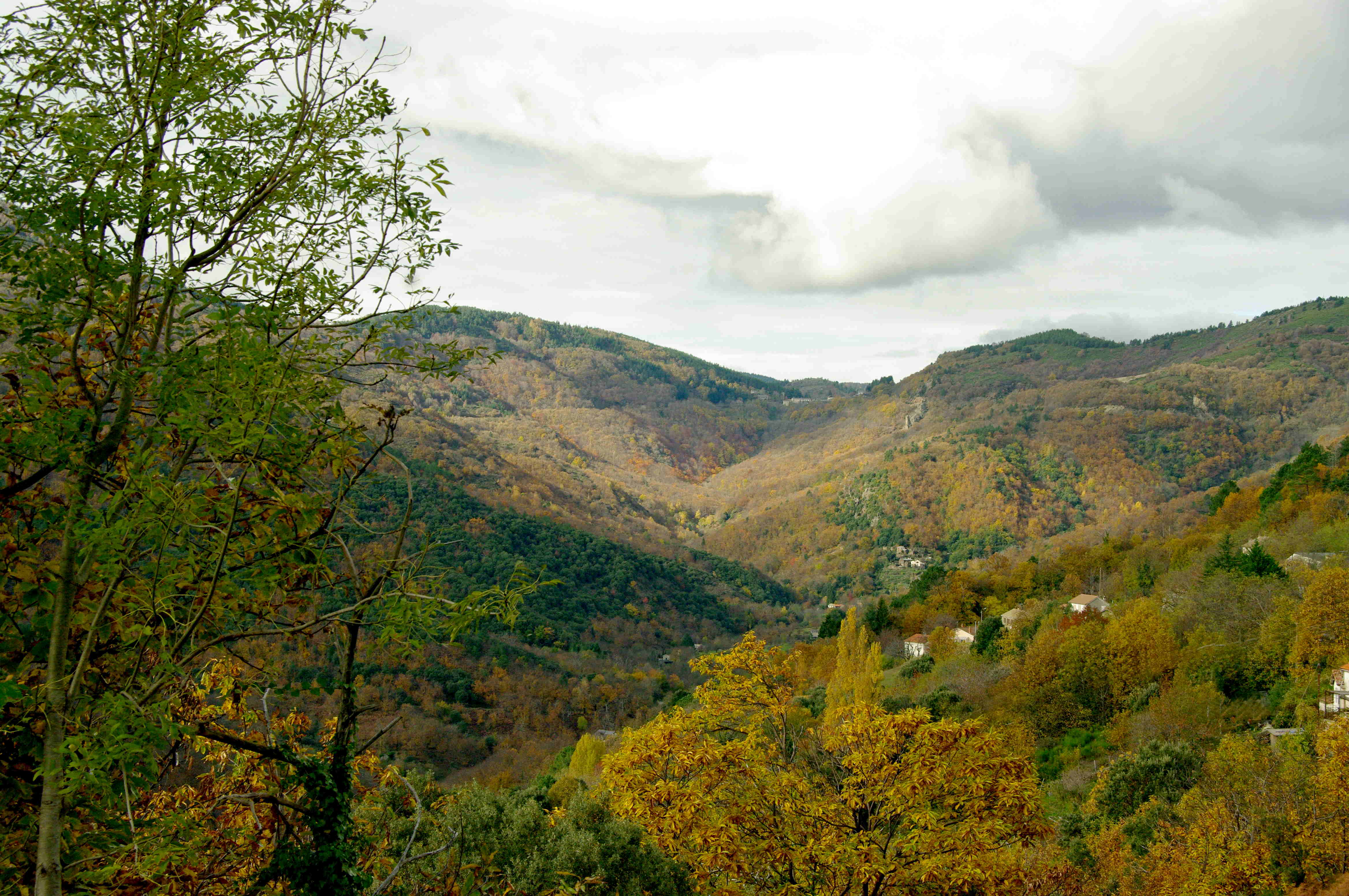 Saint Privat de Vallongue, l'automne